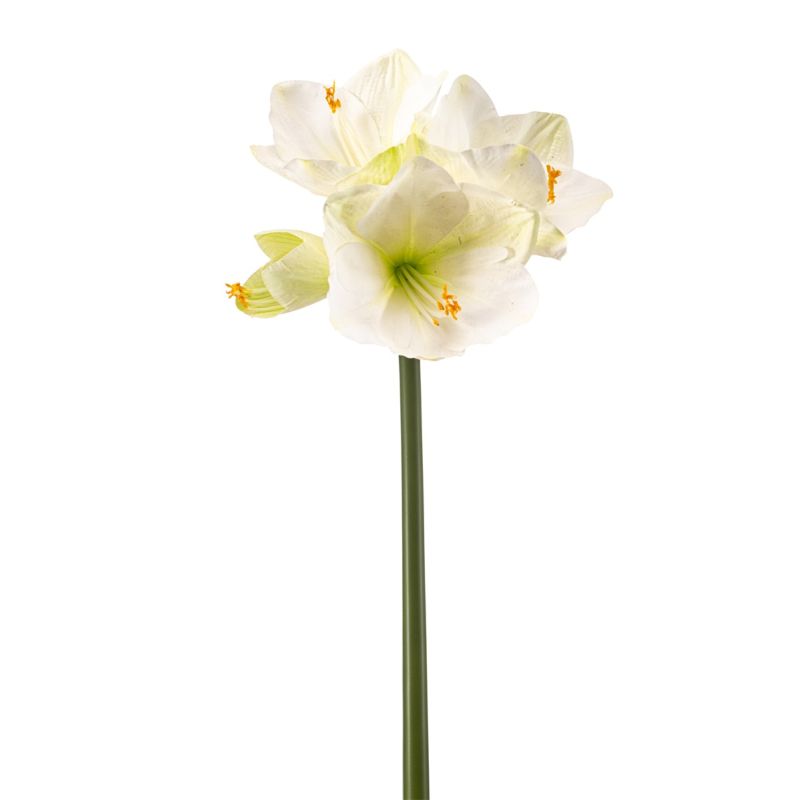 Amaryllis spray RT white/green 62cm