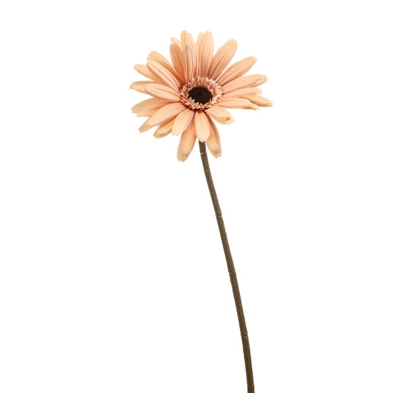 Gerbera spray lt peach 58cm