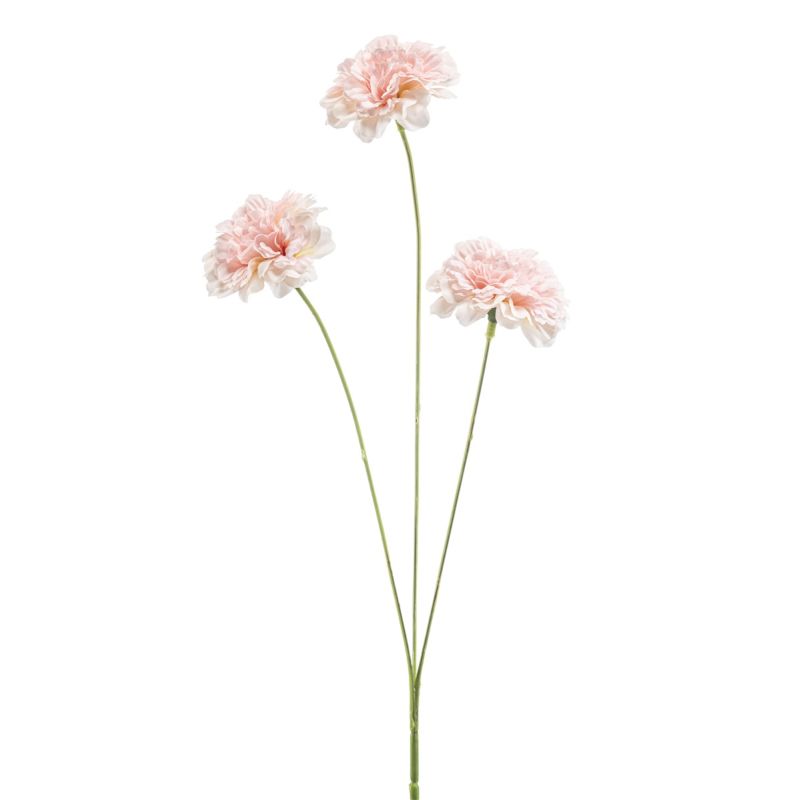 Dianthus spray peach 50cm