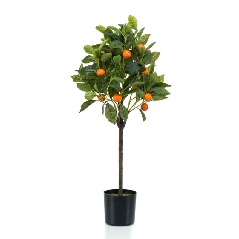 Orange tree in pot 75cm