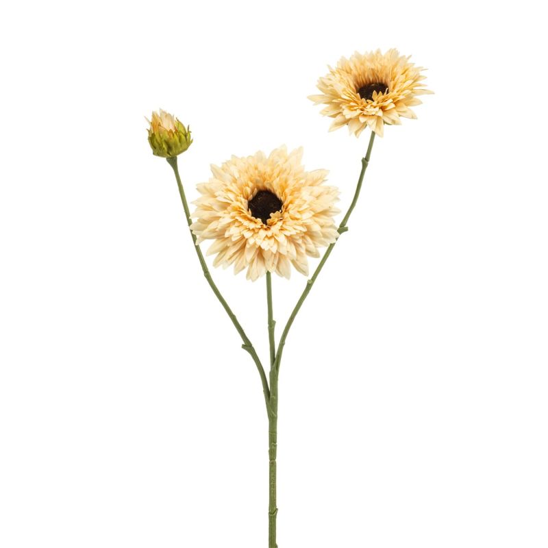 Helianthus spray cream 70cm