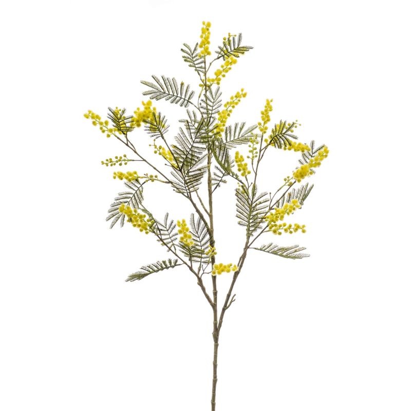 Mimosa spray yellow 110 cm