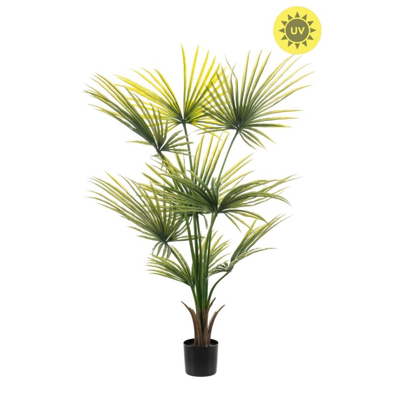Palm washingtonia UV 120cm