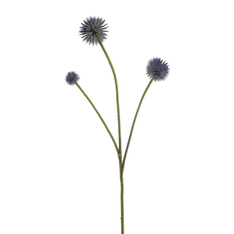 Echinops spray blue 70cm