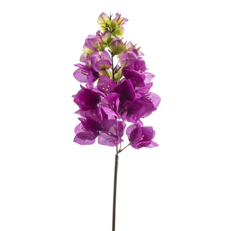 Bougainvillea spray purple 62cm