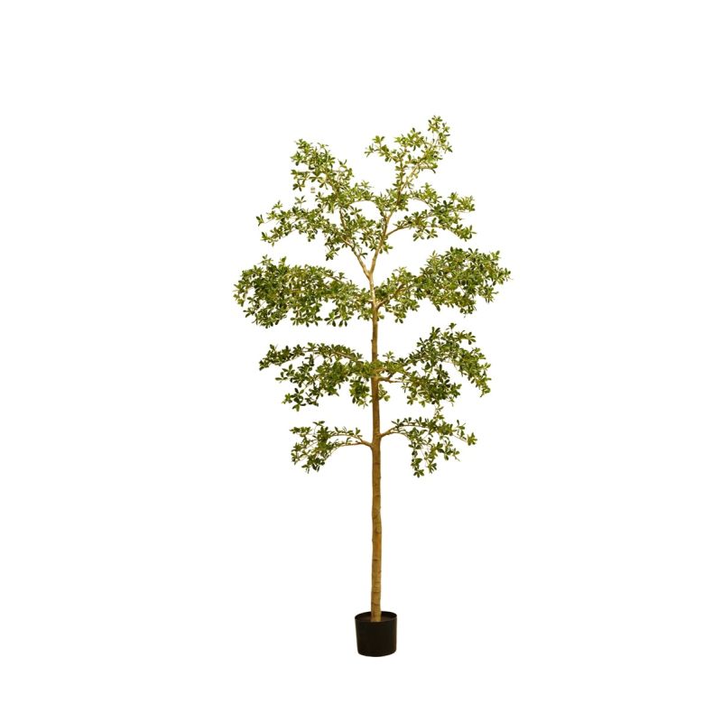 Bucida tree deluxe 290cm (knock down packing)