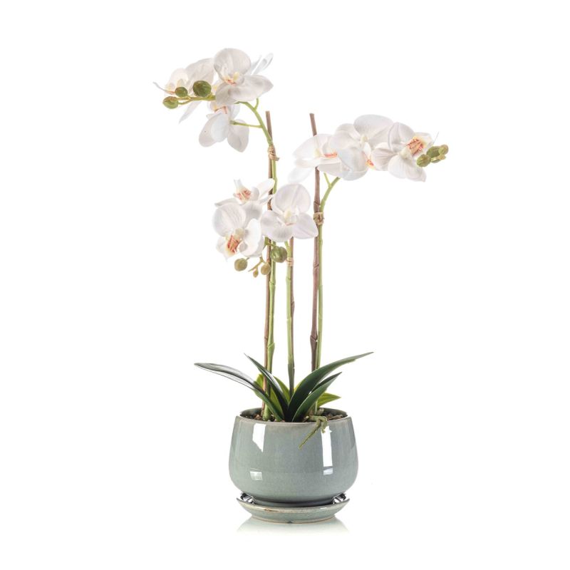 Phalaenopsis white in pot 43cm