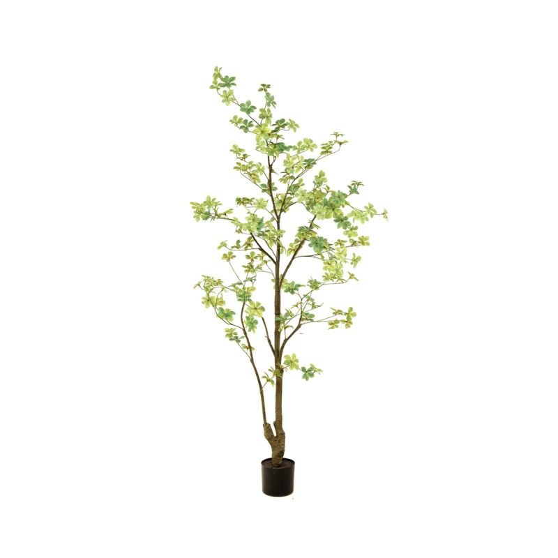 Tropaeolum plant green 185cm (knock down packing)