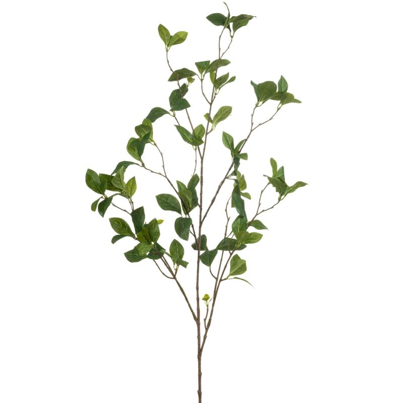 Enkianthus spray green 115cm