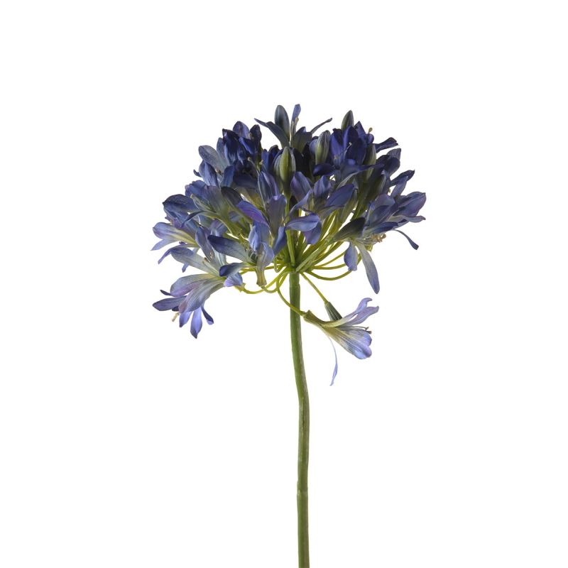 Agapanthus spray blue 88cm