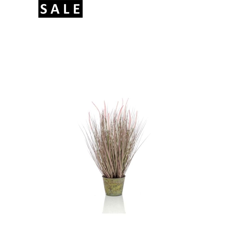 Pennisetum grass 58cm