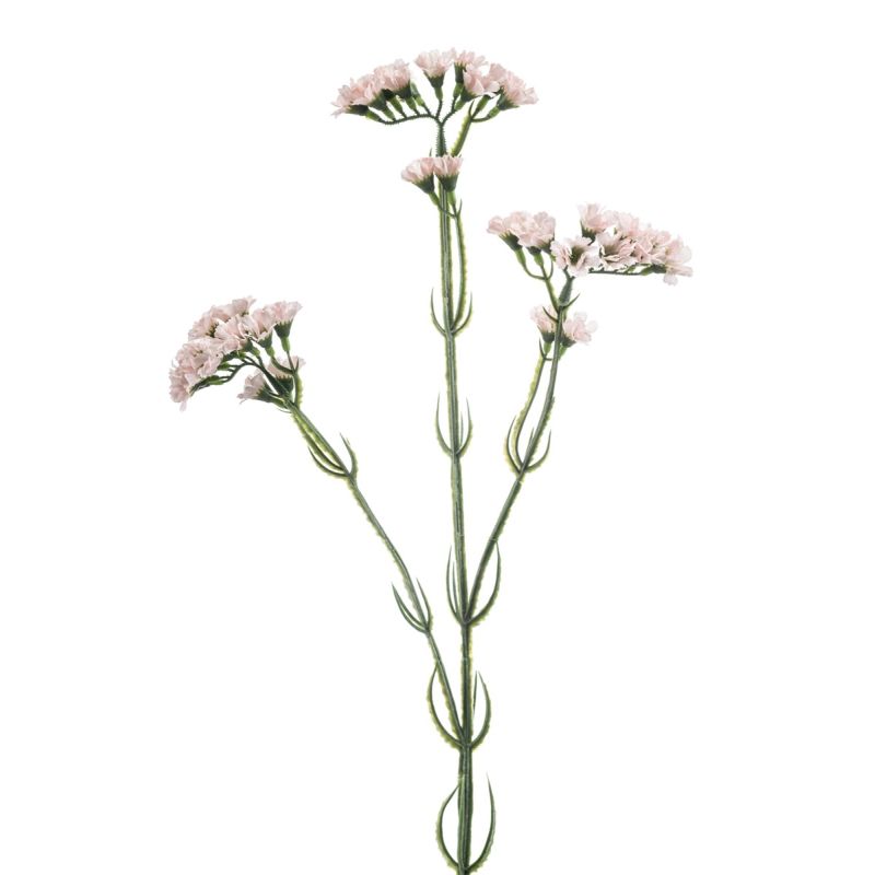 Statice spray pink 62cm