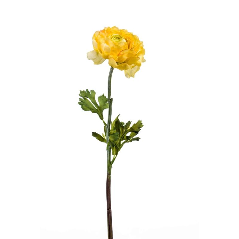 Ranunculus spray yellow 50cm