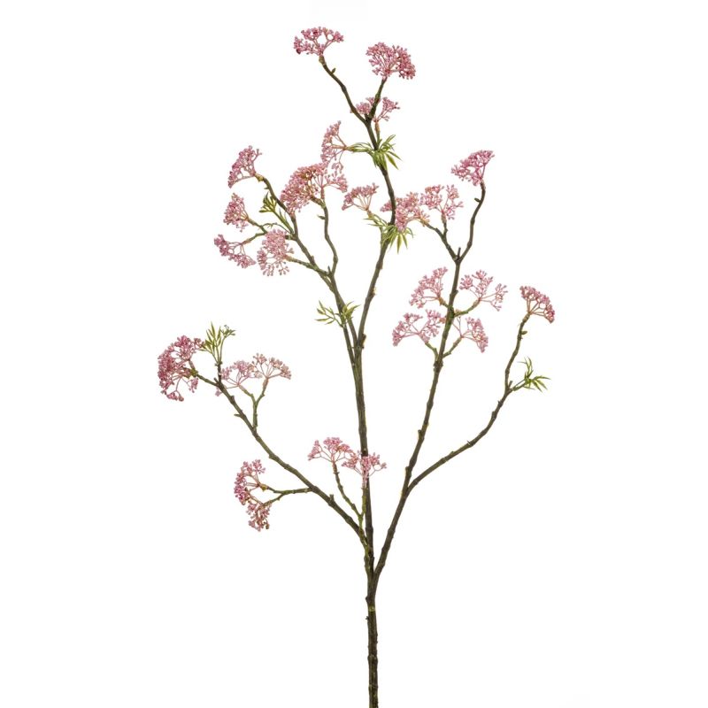 Sedum spray pink 105cm