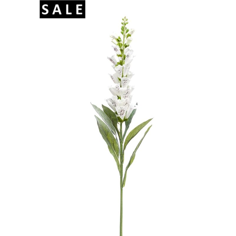 Digitalis spray cream 92cm