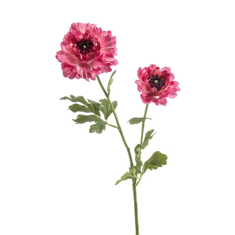 Ranunculus japanese spray pink 65cm