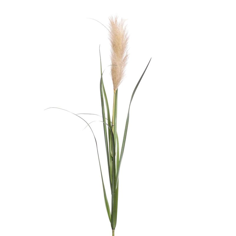 Pampas grass lt brown 120cm