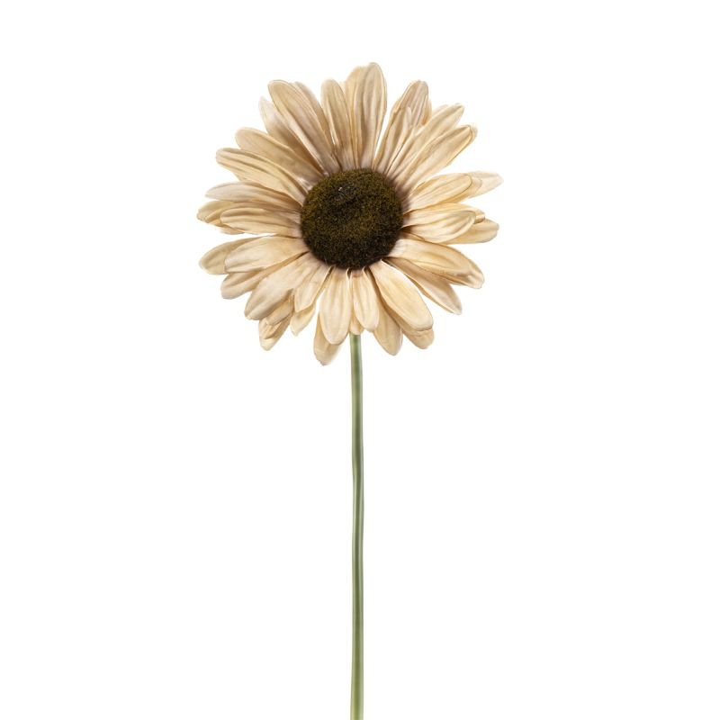 Gerbera stem XL beige 90cm (knock down packing)