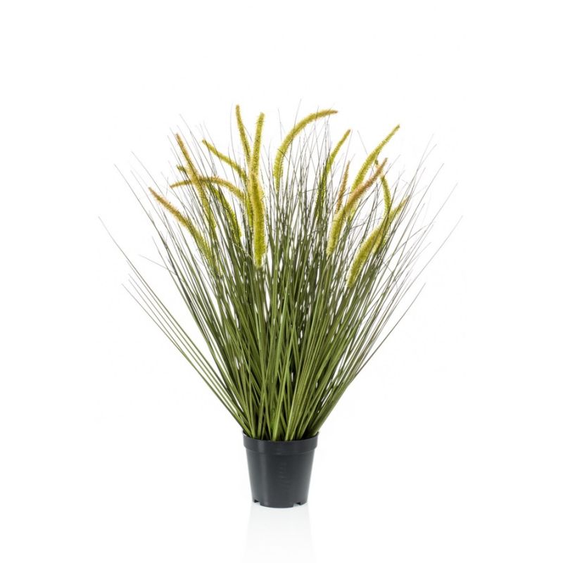 Grass cattail 70cm