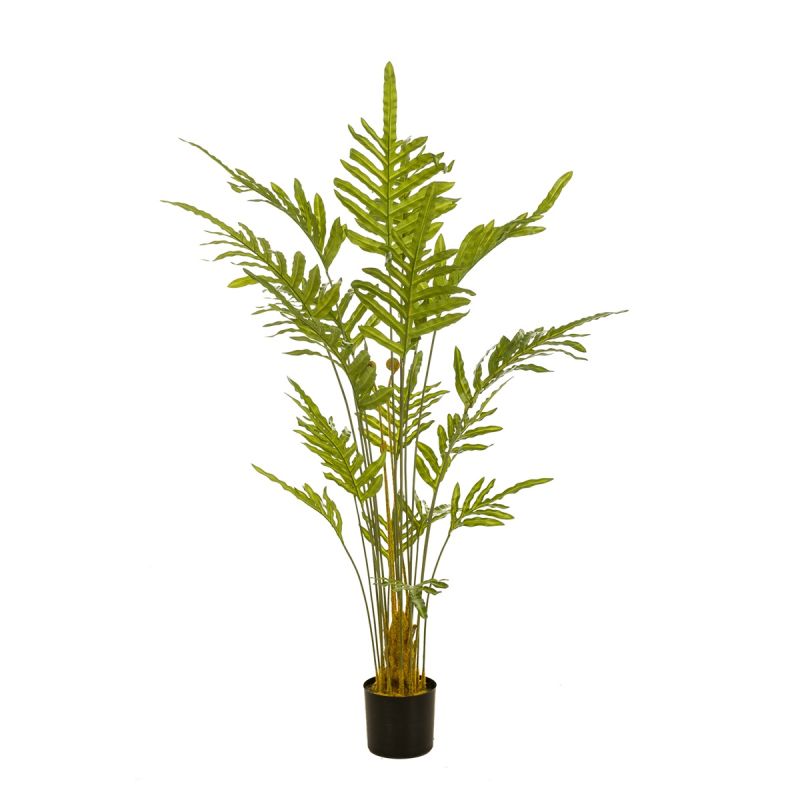 Fern plant 150cm