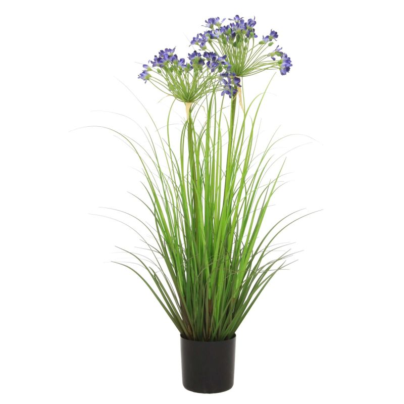 Grass agapanthus blue 80cm