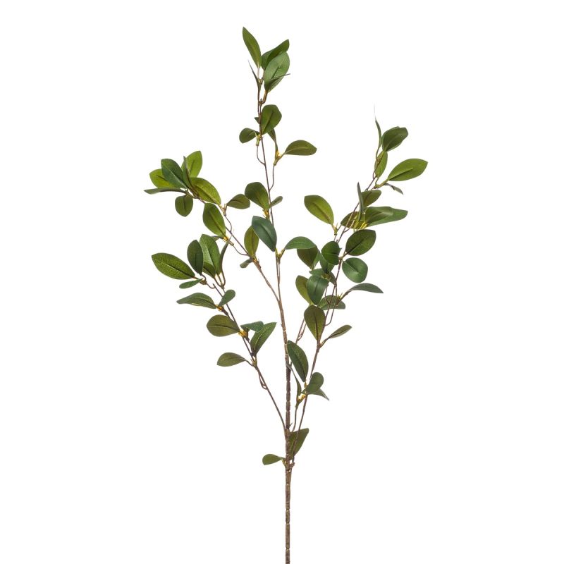 Ruscus spray green 90cm