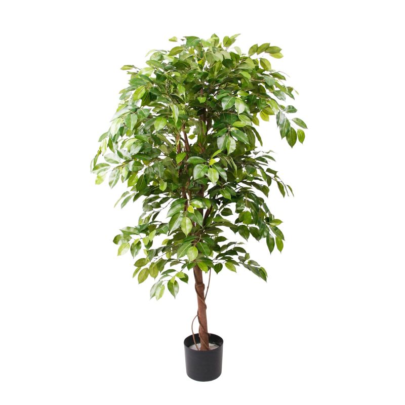 Ficus deluxe vine tree 140cm