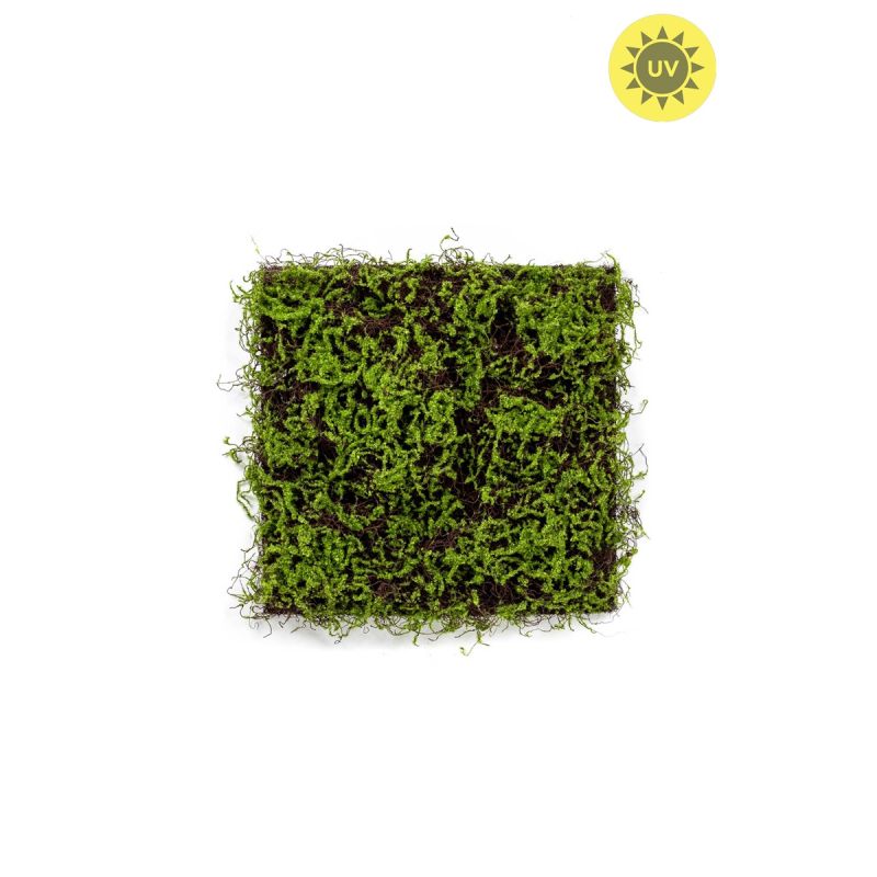 Grass mat with moss green/brown 50x50cm