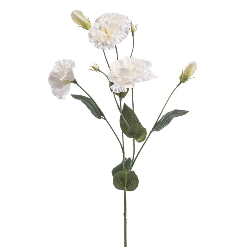Eustoma spray cream 75cm