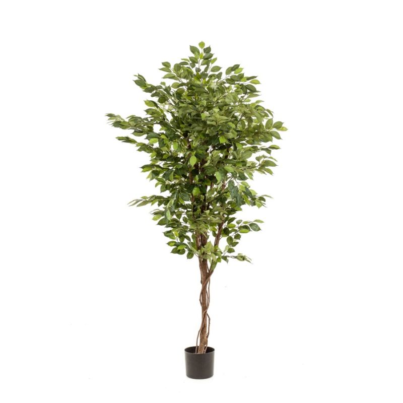 Ficus deluxe vine tree 170cm