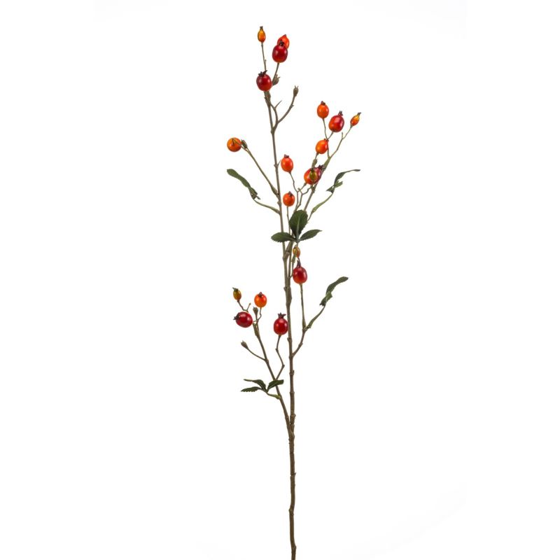Rosehip spray orange 80cm
