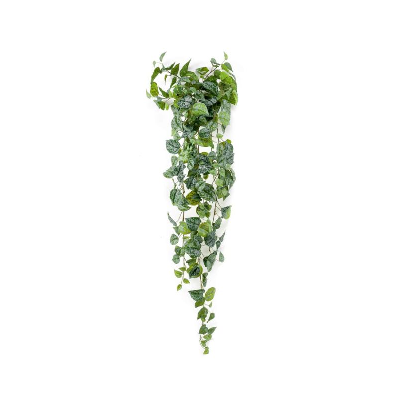 Scindapsus pictus hanging bush green/grey 120cm