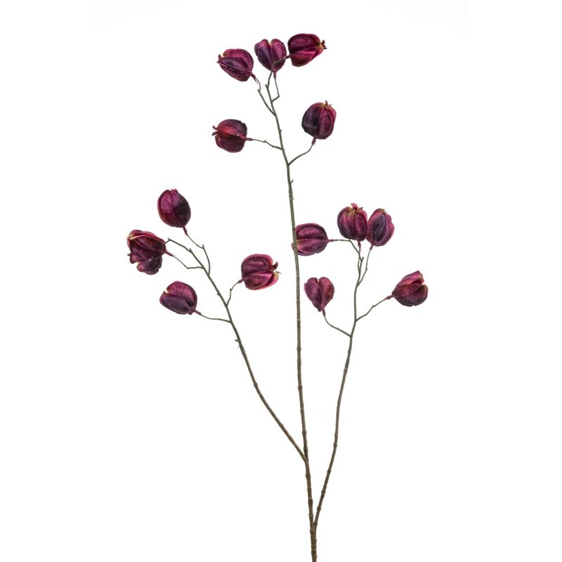 Physalis spray purple 80cm