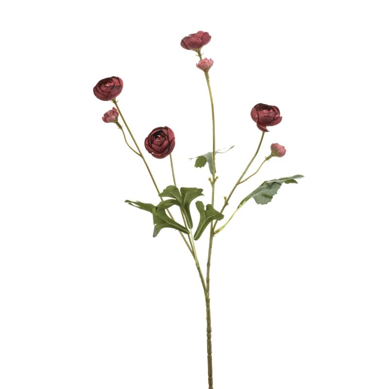 Ranunculus mini spray beauty 65cm