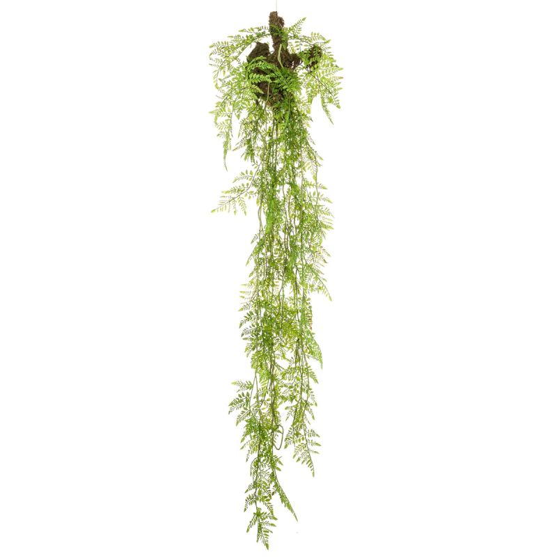 Fern hanging on trunk 150cm