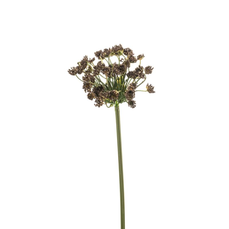 Dill spray brown 55cm
