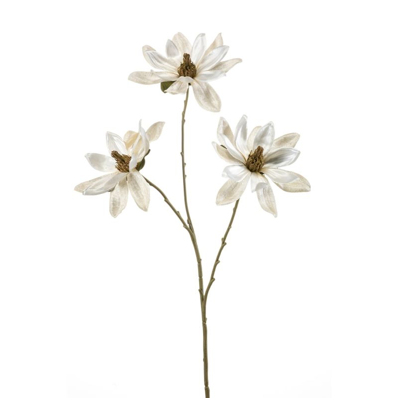 Magnolia spray cream 70cm