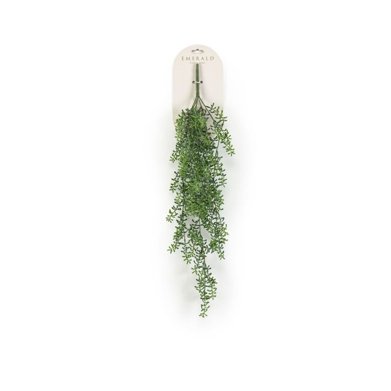 Rhipsalis hanging bush 72cm