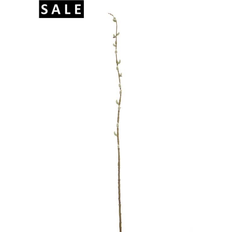 Pussy willow stem green 105cm