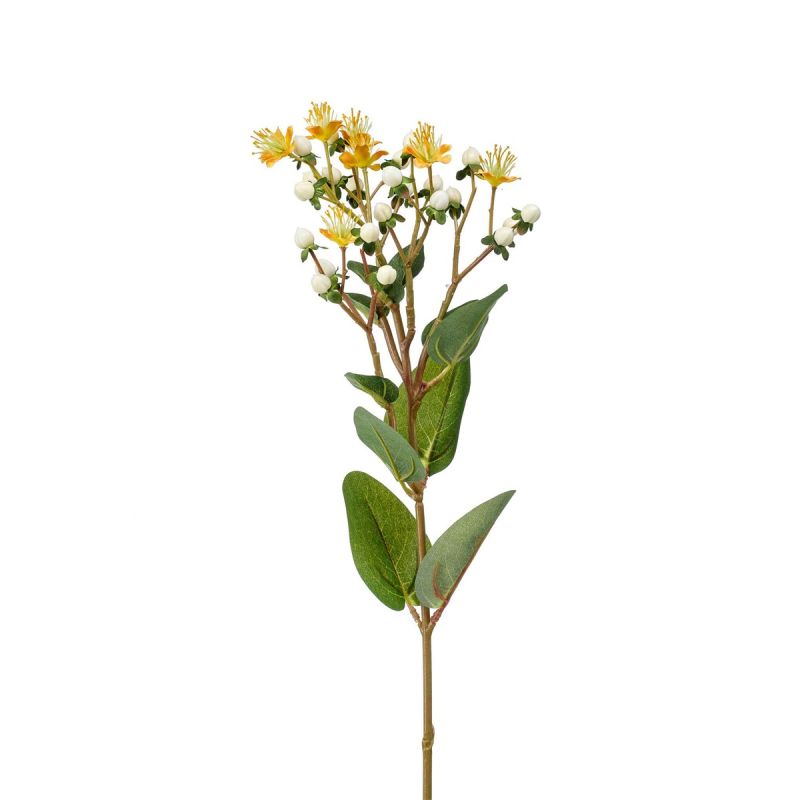 Hypericum spray cream 65cm