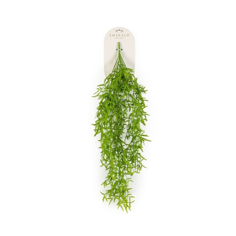 Fern mini hanging bush green 80cm