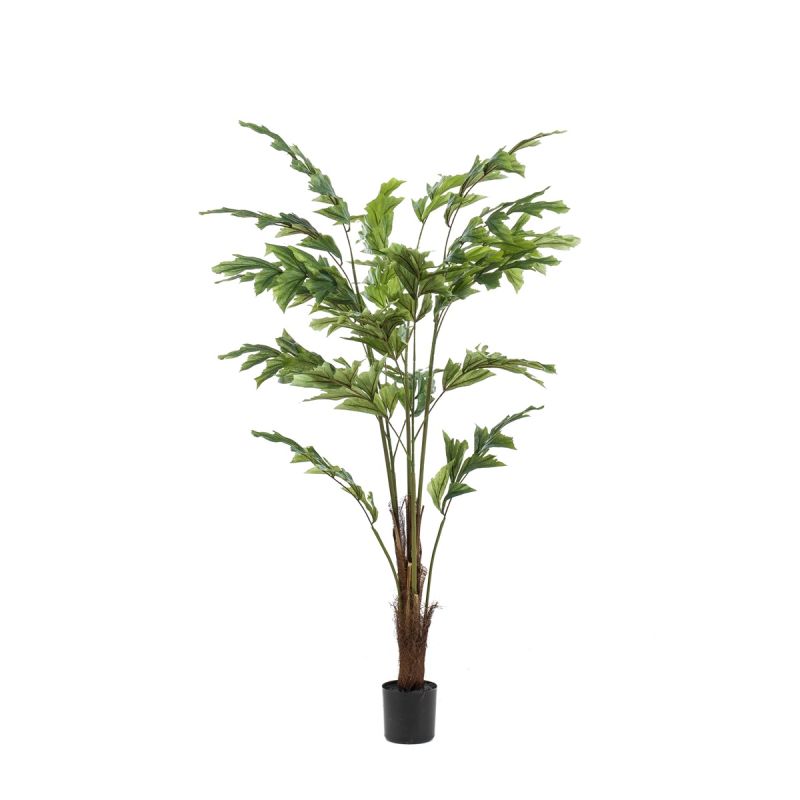 Palm fishtail 125cm