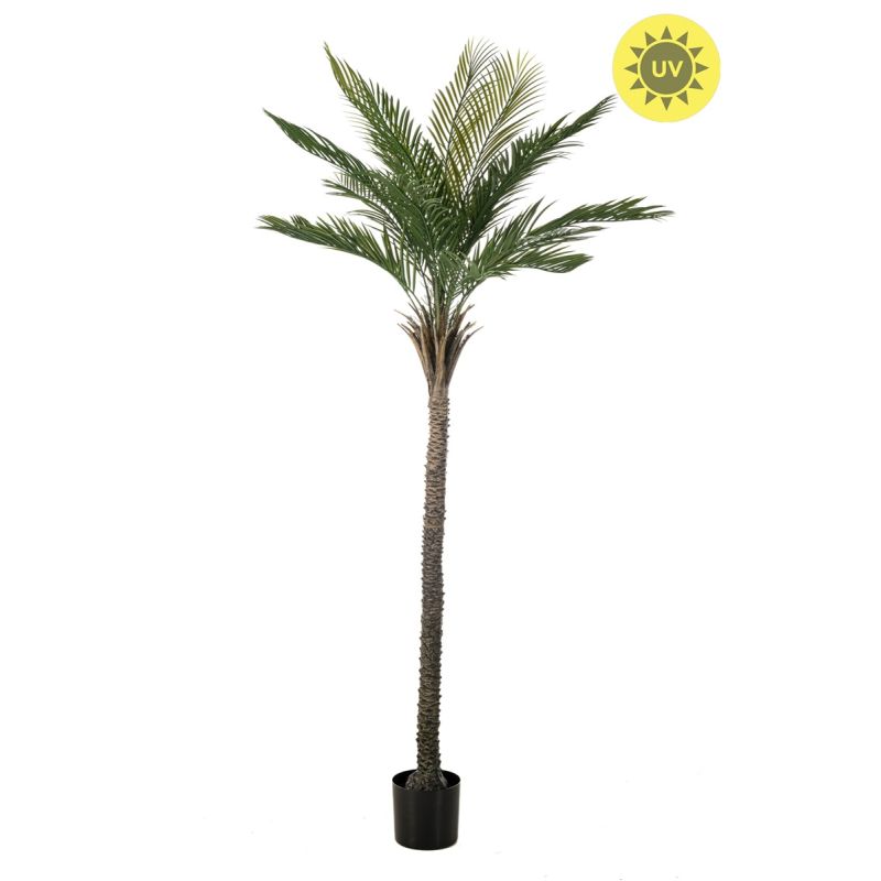 Palm UV 210cm (knock down packing)