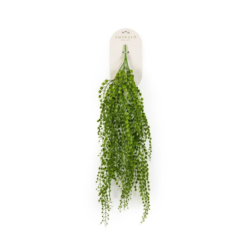 Lepidium hanging bush green 80cm