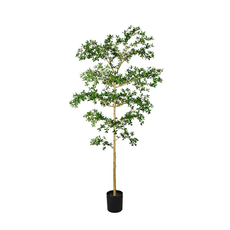 Bucida tree deluxe 240cm (knock down packing)