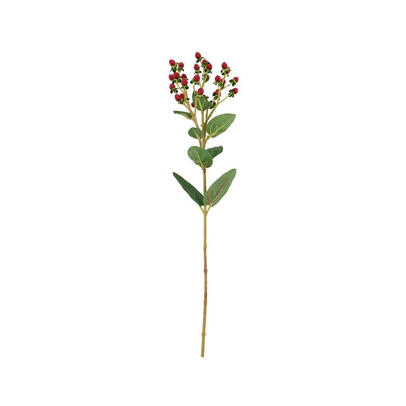 Hypericum spray red 64cm
