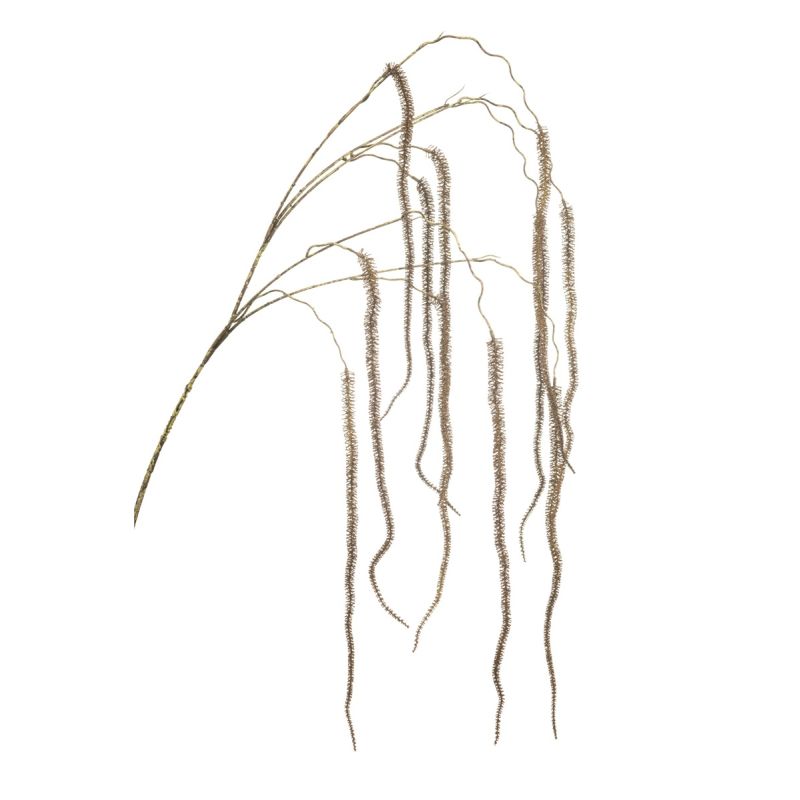 Amaranthus hanging spray brown 140cm