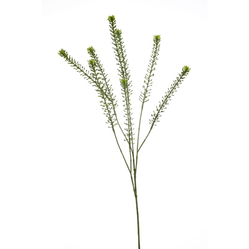 Lepidium spray green 85cm