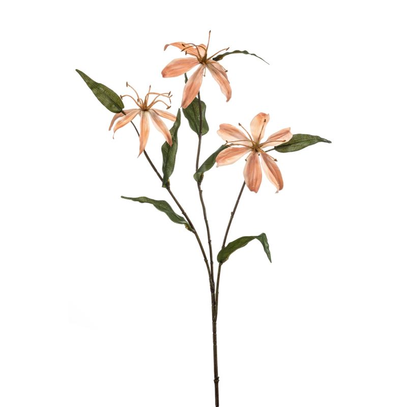 Gloriosa spray peach 80cm