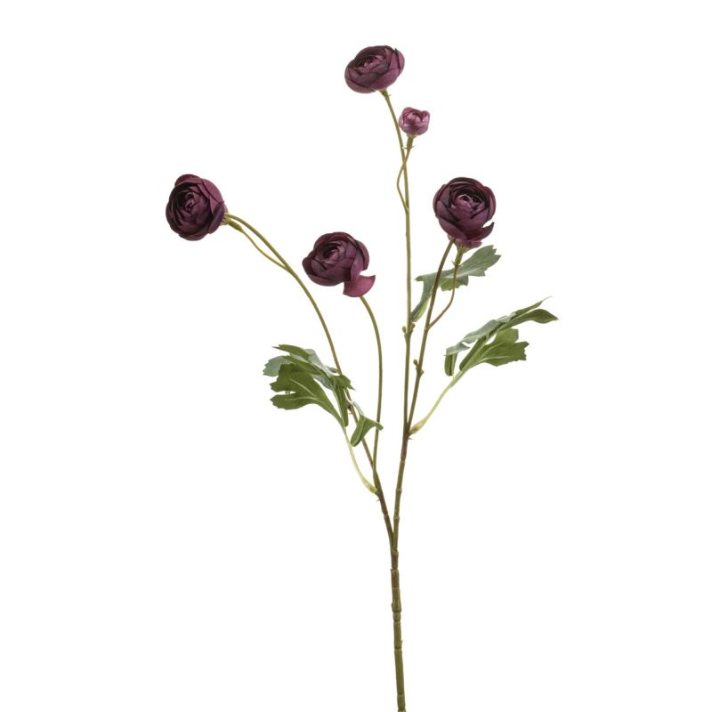 Ranunculus mini spray purple 65cm